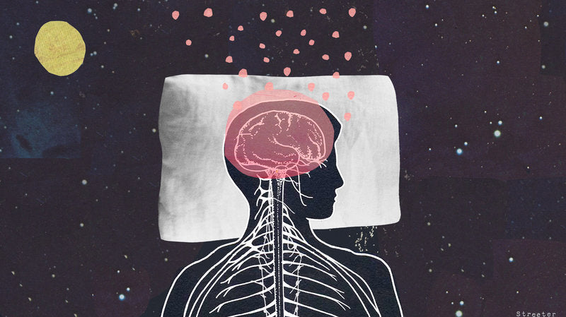 brain and glymphatic system